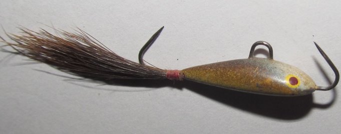 valkoinen otsa - keltaiset silmät....1.JPG