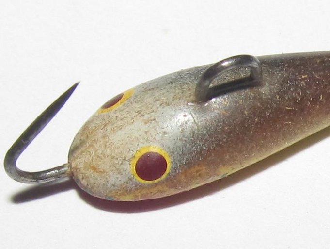 valkoinen otsa - keltaiset silmät....2.JPG