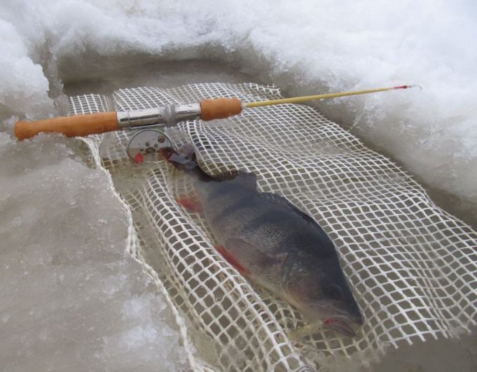 järvellä tänään.....jpg