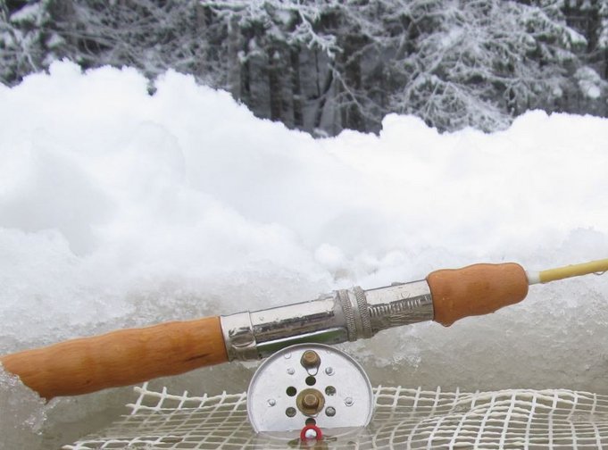 järvellä tänään.....puu kädensija.......jpg