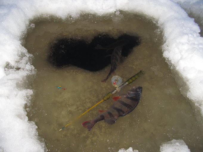 järvellä tänään ---- 3.jpg