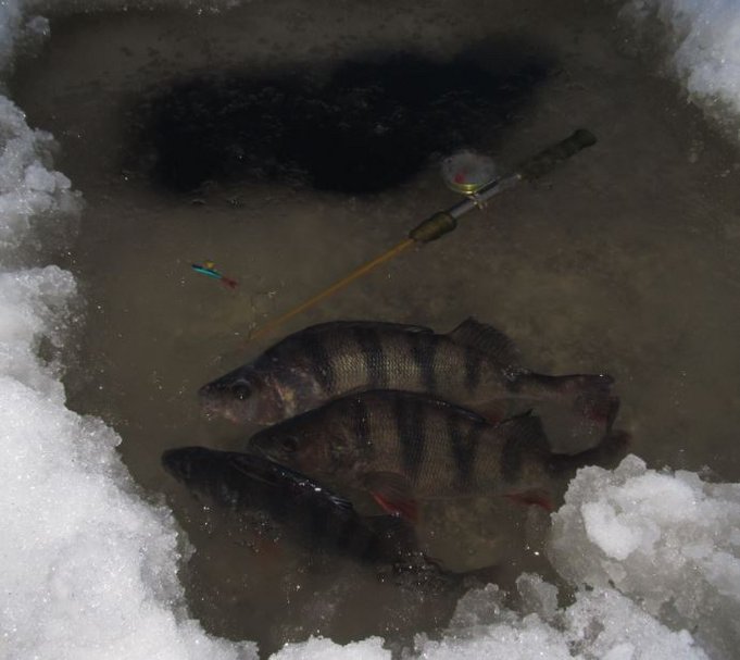 järvellä tänään ---- 4....altaasta takaisin kuvaukseen......jpg