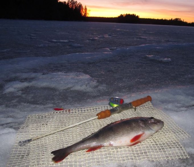 appura eilen...................................jpg