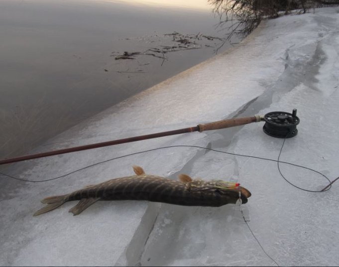 ABU ja LOOP.........1.JPG