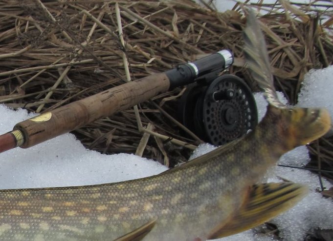 Lamson 3,5 kela teipattu paikoilleen. vavassa kelan kiinnitysruuvi löystyy, aukeaa hissukseen itsestään.......jpg