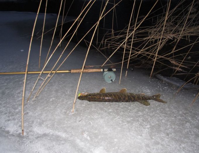 ABU lapplandia ja hauki jäälipalla................JPG