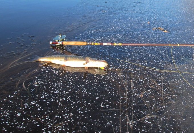 Tjostheim - Wonderod.....kirkas pistävä auringonpaiste poltti kuvan............JPG