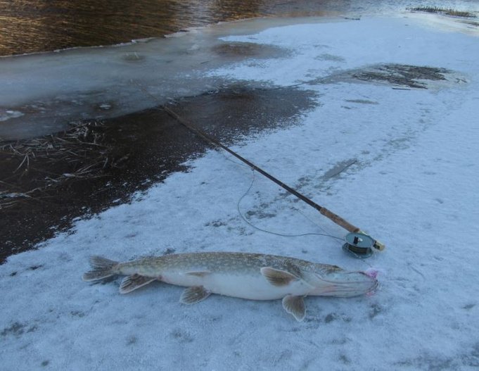 vaikeuksia rantauttaa.....jpg