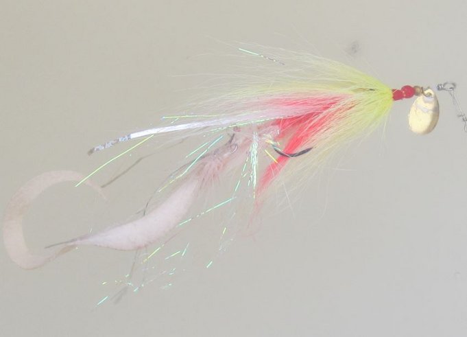 loop ja orvis - 3 - ottiperho............JPG