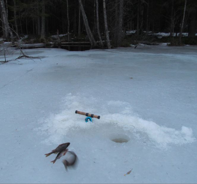 eilen lammella....puronsuulta appuroita.....JPG