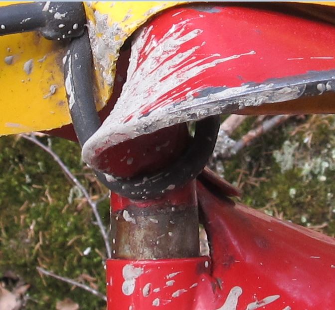 terän istutus.....jpg