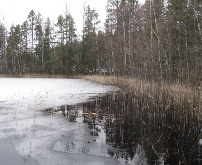 auringon puoleinen ranta auki.....JPG