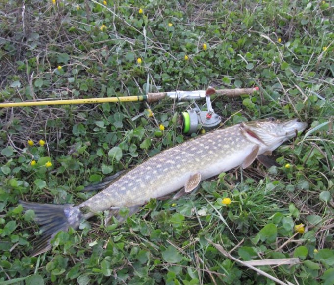 DAM hobby eilen....2JPG.jpg