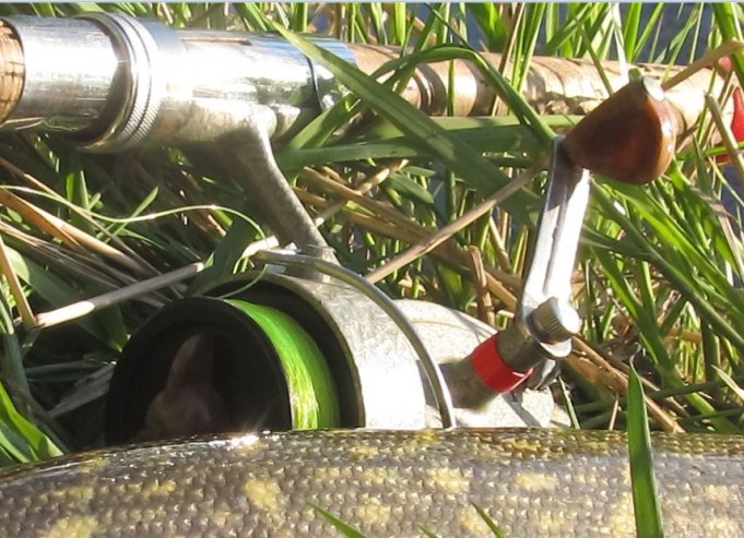 DAM hobby....litteä kampi ja yksinkertaisempi sanka, pelkkää lankaa.....JPG