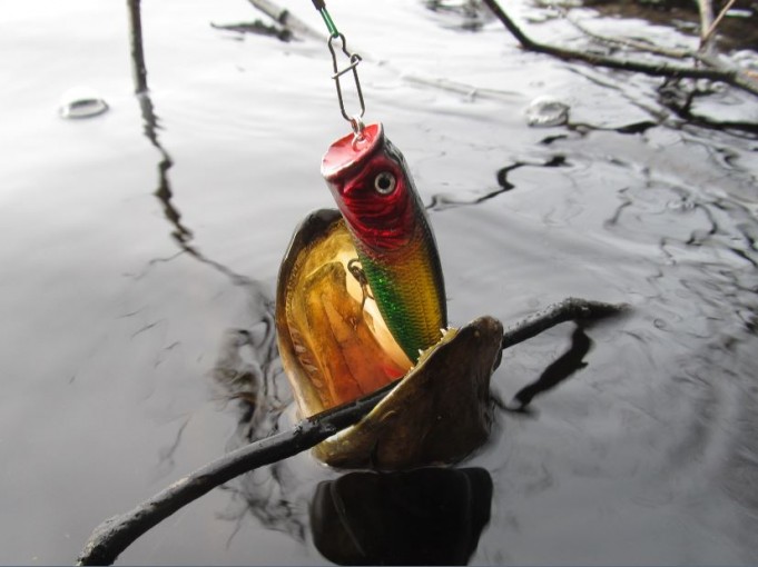 popperi 3.........JPG