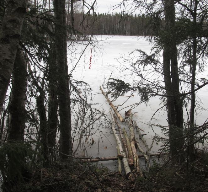 keväällä...pitkospuut rantahaperon yli......JPG