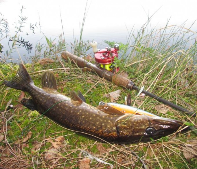 South Bend ....3.....JPG