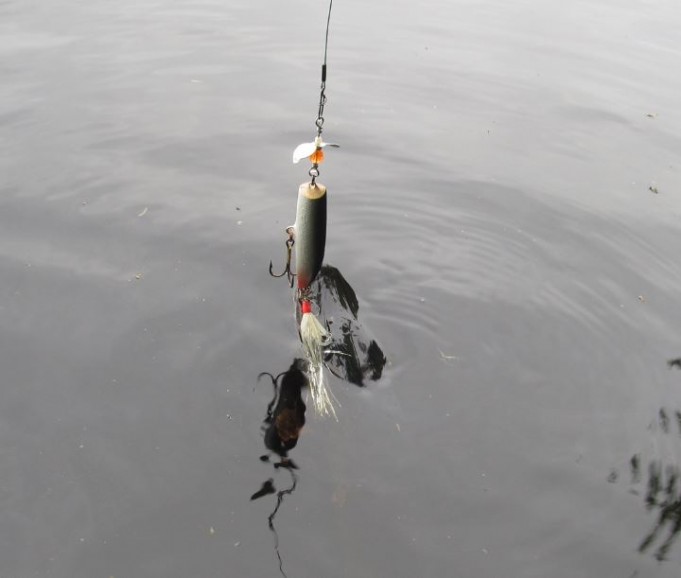 ABU 444 ....... 2.JPG