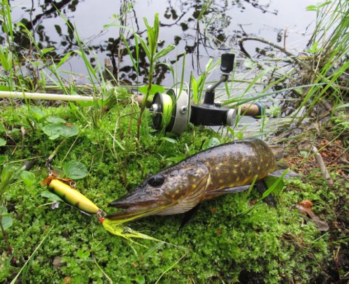 ABU 444 ....... 4.JPG