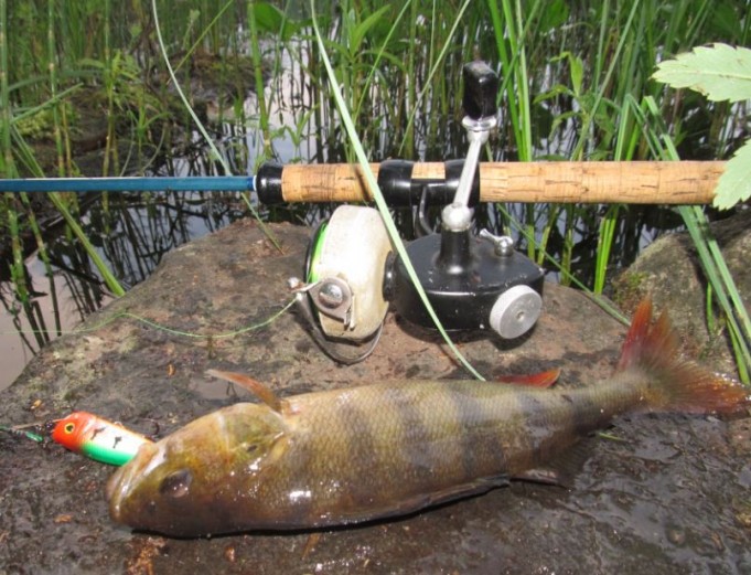 varakela käyttöön.....JPG