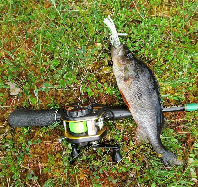 Lentäjä ---- 600 ---- .jpg