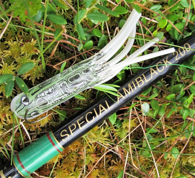 Lentäjä ---- 800 ---- .jpg