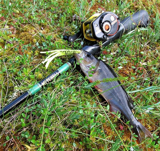 Lentäjä ---- 900 ---- .jpg