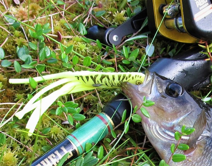 Lentäjä ---- 1100 ---- .jpg