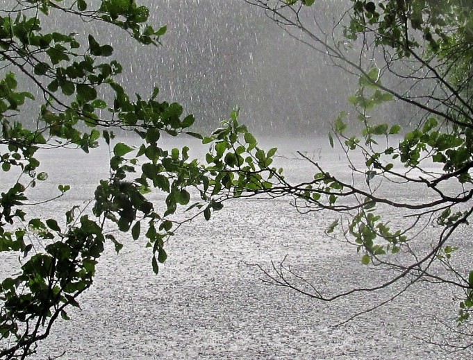 Sadetta ja paistetta .... 10 .....jpg