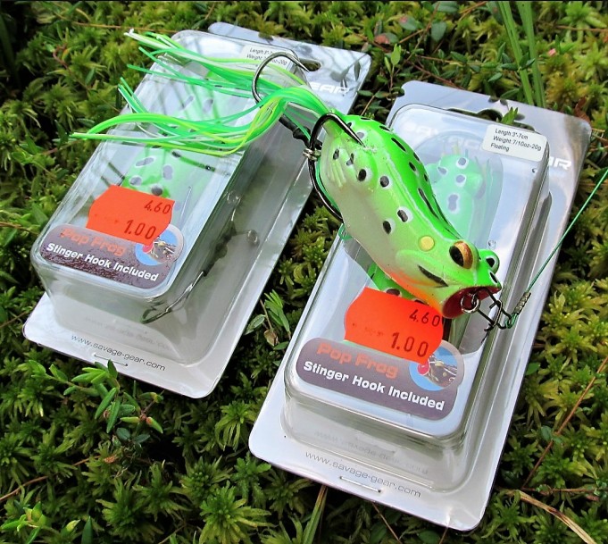 Sammakko .... 30 .....jpg