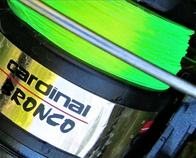 Viiksillä vitaikossa ---- 40 ----.jpg