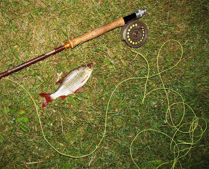 Sorvaa ----10---- .jpg