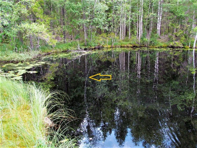 Booyah .... 60 .... .jpg