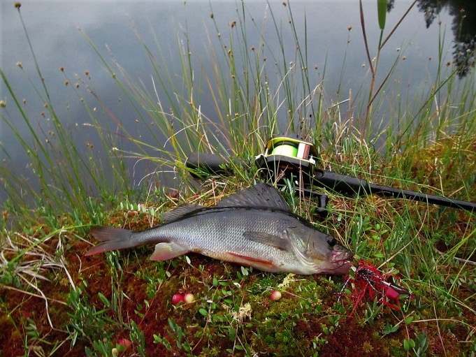 Booyah ---- 10 ----.jpg