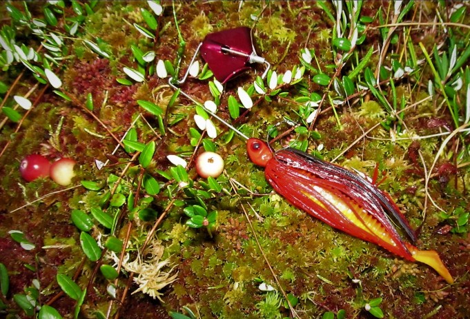 Booyah ---- 20 ----.jpg