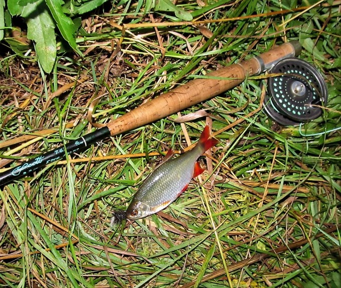 Scott .... 1.....jpg