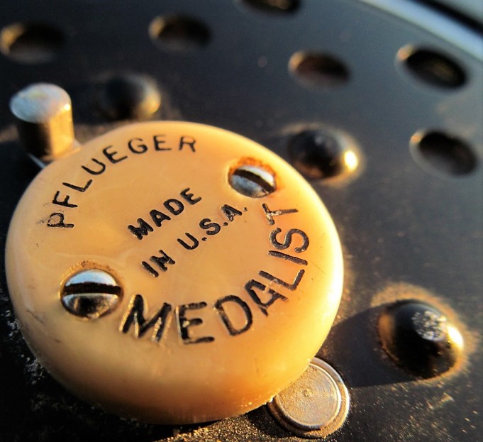 Fenwick ---- 600 ----.jpg