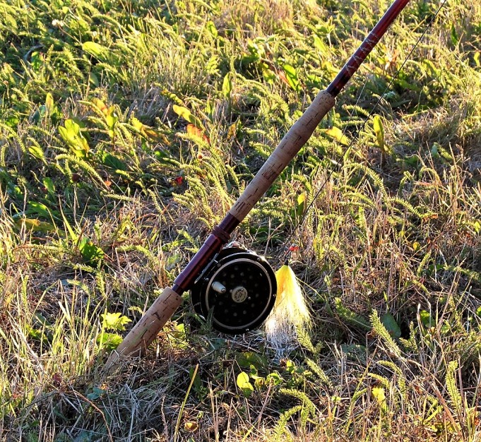 Fenwick ---- 800 ----.jpg