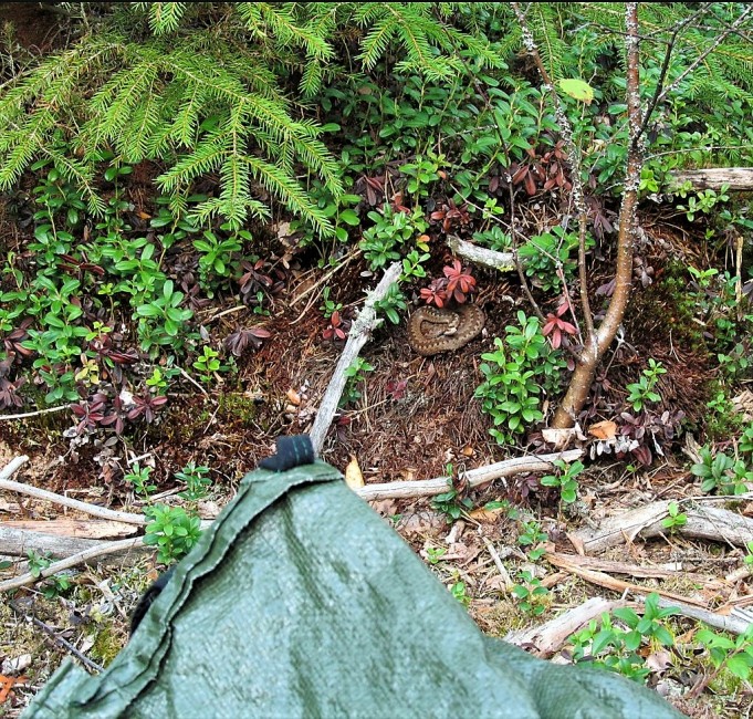 a ja s ---- 90 ----.jpg