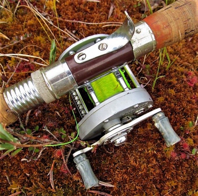 a ja s ---- 30 ----.jpg