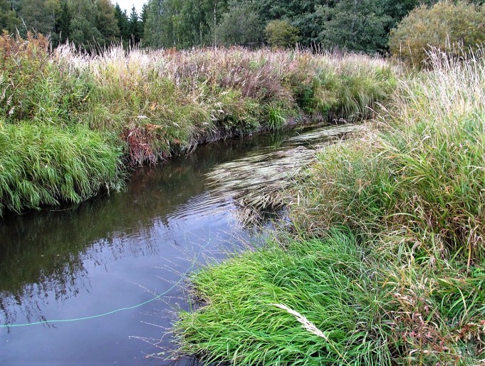 kirjo ja koukku .... 100 .....jpg