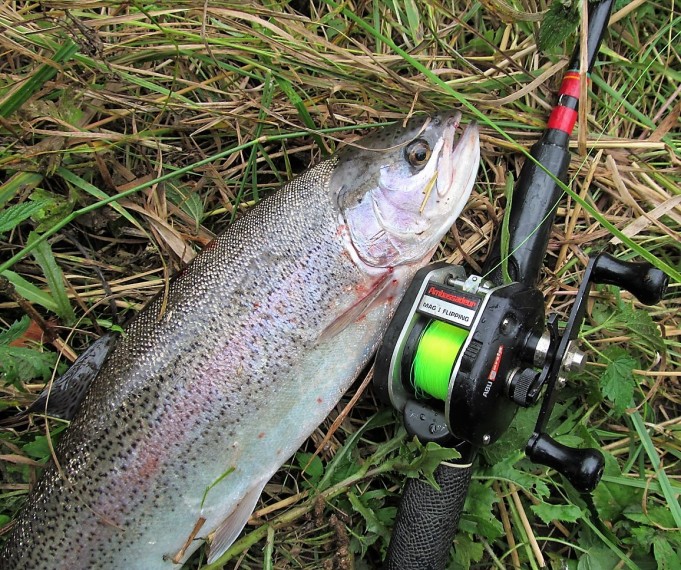 kirjo ja koukku .... 200 .....jpg