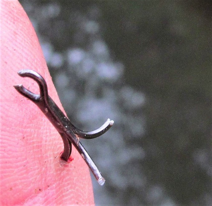 kirjo ja koukku .... 600 .....jpg