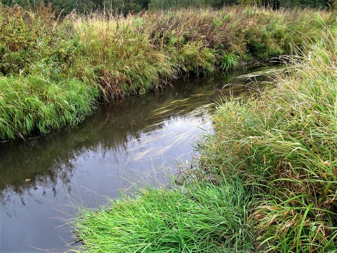 pilkkuja ja viiruja ---- 200 ----.jpg