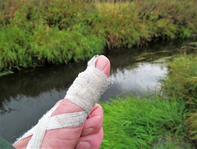 pilkkuja ja viiruja ---- 600 ----.jpg