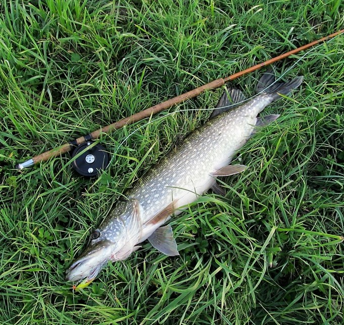 Nurtsihauki .... 10.....jpg