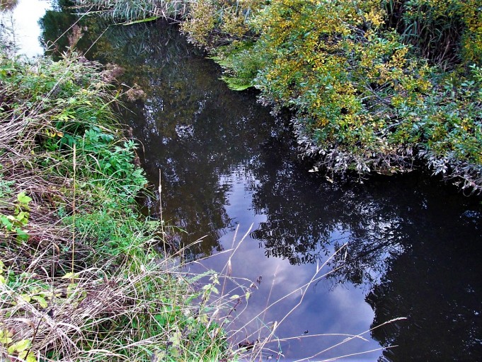 Ranskan ihme .... 110 .....jpg