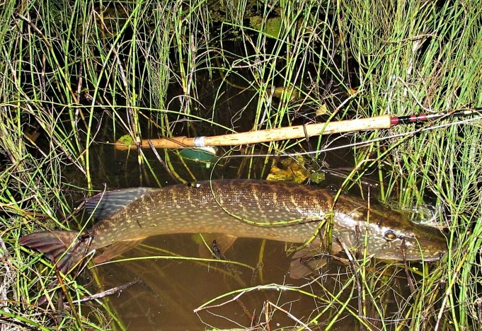 L A  .... 300 ....  .jpg