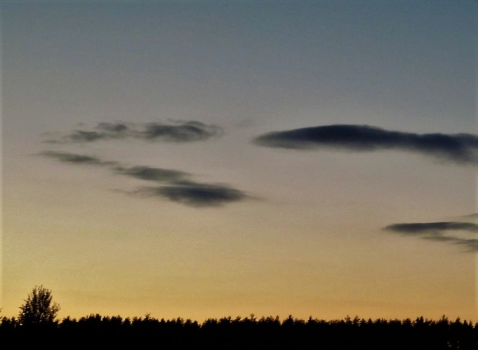 Peltomeininkiä .... 60 .....jpg