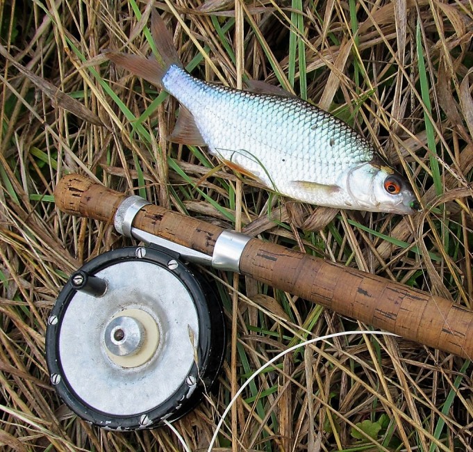 DAM ja B & W .... 200 .....jpg